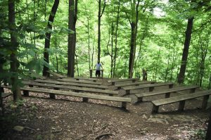 Galls and more to learn at arboretum